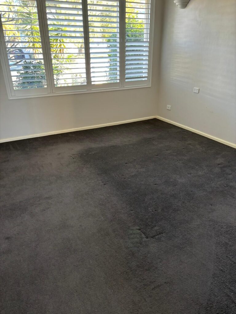 carpet cleaning mortdale